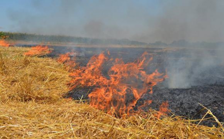 На Тернопільщині знайшли тіло жінки, яка загинула під час спалювання сухої трави