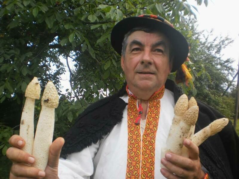 На Прикарпатті знайшли гриб, схожий на чоловічий статевий орган