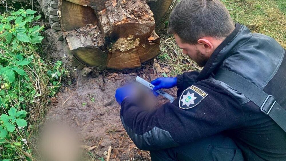 Біля Бучі під час патрулювання лісу знову виявили тіла цивільних