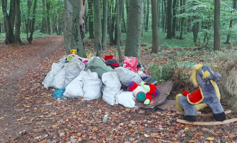 Люди продовжують зносити сміття у Брюховицький ліс. Фото