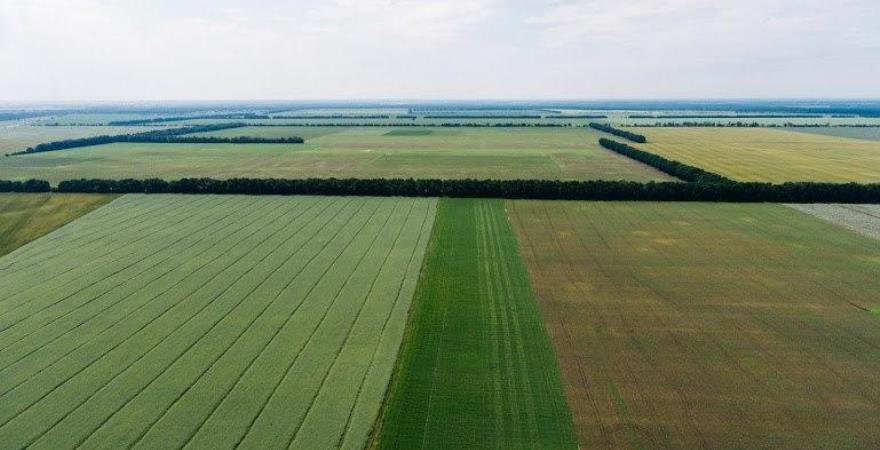 До Держгеокадастру внесли відомості про нормативну грошову оцінку земель 305 населених пунктів Львівщини