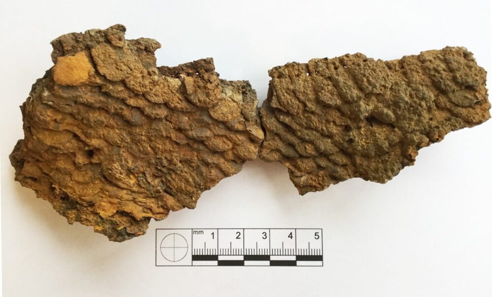 “Бронежилет”, якому близько 2700 років, знайшли на Галичині