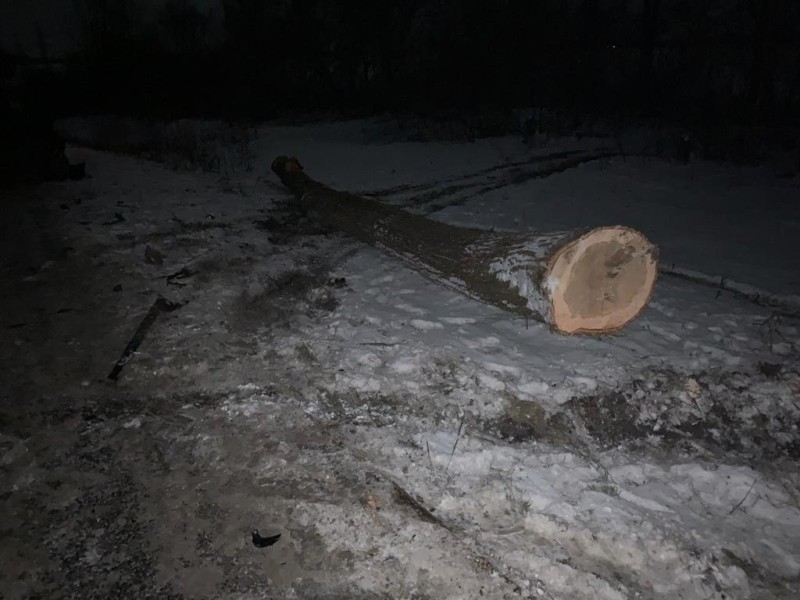 На Тернопільщині в ДТП потрапив бус з пасажирами