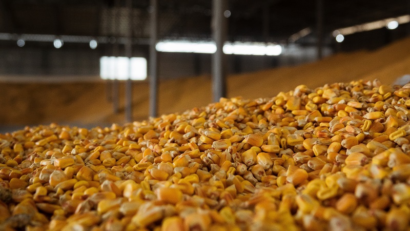Україна продала на зовнішні ринки понад 30 млн т зерна