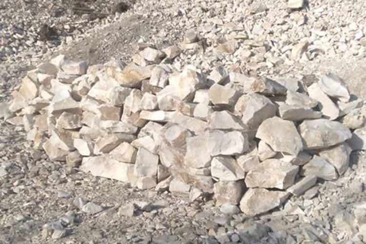 На Тернопільщині двоє чоловіків незаконно видобували камінь