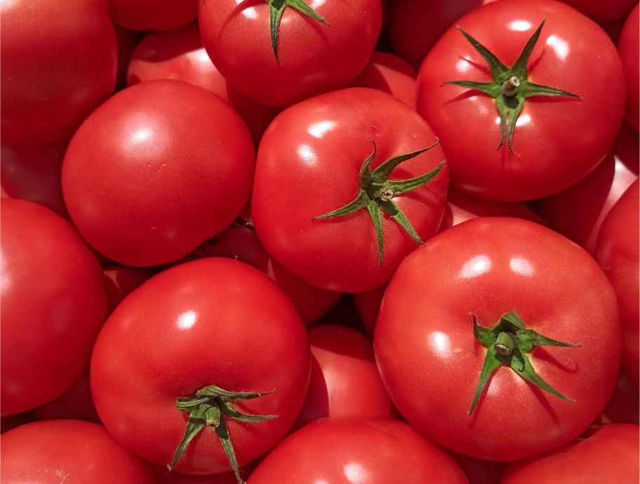Туреччина зняла заборону на експорт томатів через кілька днів після її введення