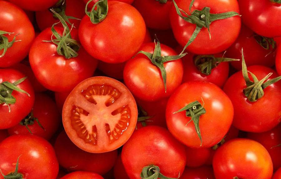 Ціни на помідори в Україні виростуть через заборону експорту з Туреччини