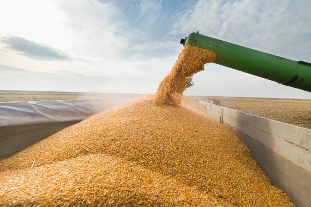 Єврокомісія засудила рішення Польщі та Угорщини щодо заборони українського зерна