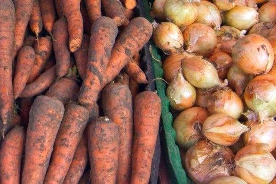 Цьогоріч українські фермери планують посадити більше цибулі, моркви і гречки