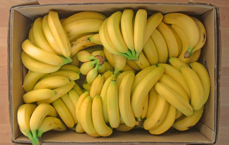 У росії запропонували визнати банани соціально значущим продуктом
