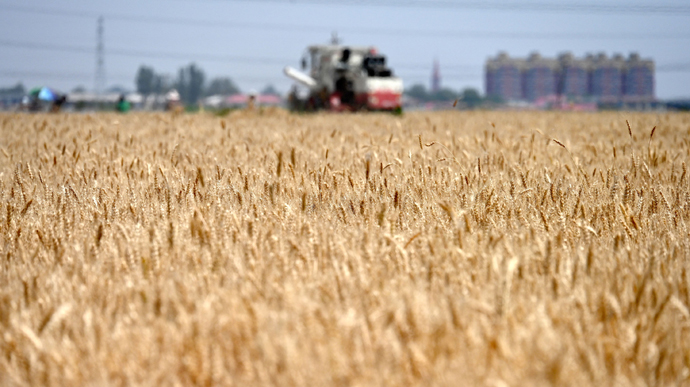 Єврокомісія заборонила імпорт окремих агротоварів з України після тиску п’ятьох держав ЄС