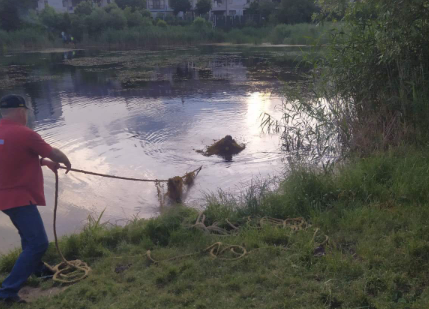 У львівській водоймі втопився чоловік