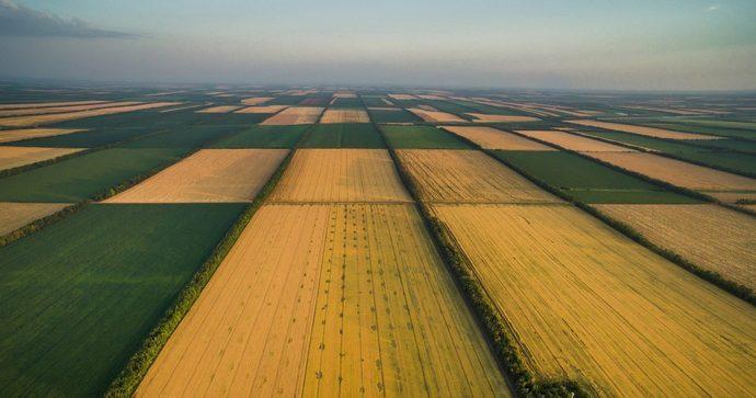 Громаді на Львівщині повернули 50 га землі