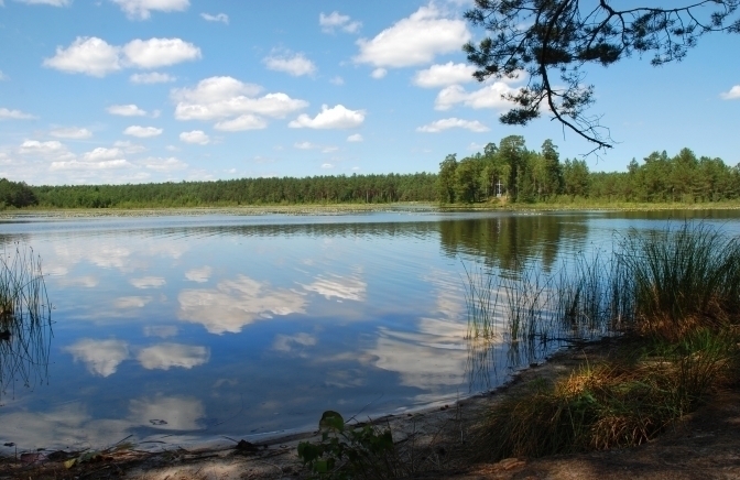 В озері на Львівщині потонув чоловік