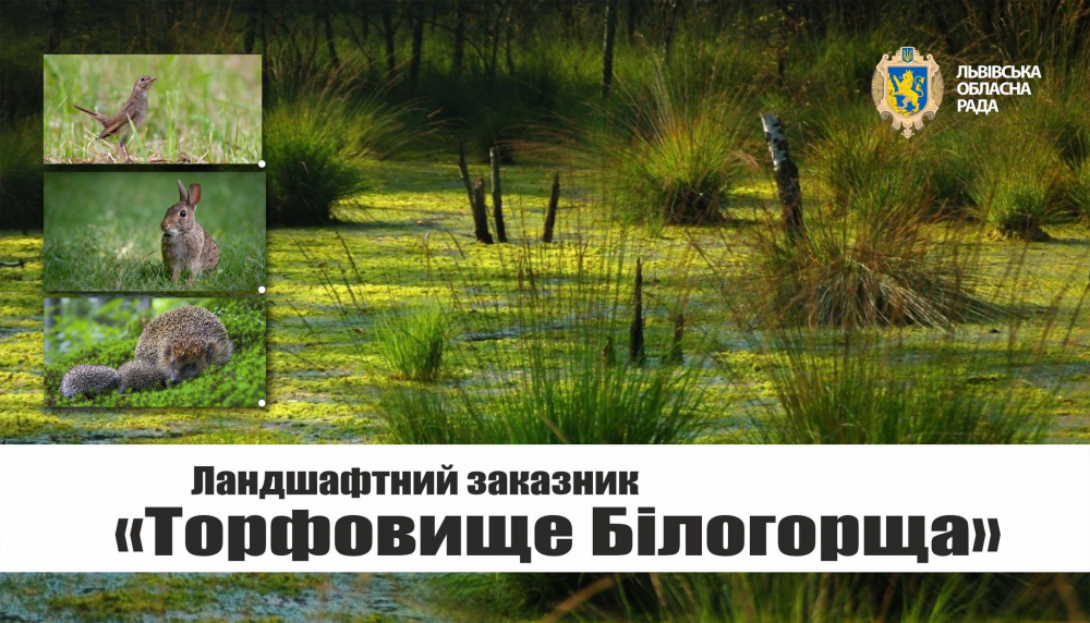 У суді відстояли збереження заказника «Торфовище Білогорща»