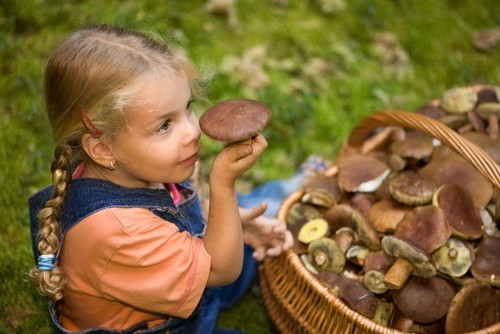 На Франківщині 3-річна дитина отруїлася грибами