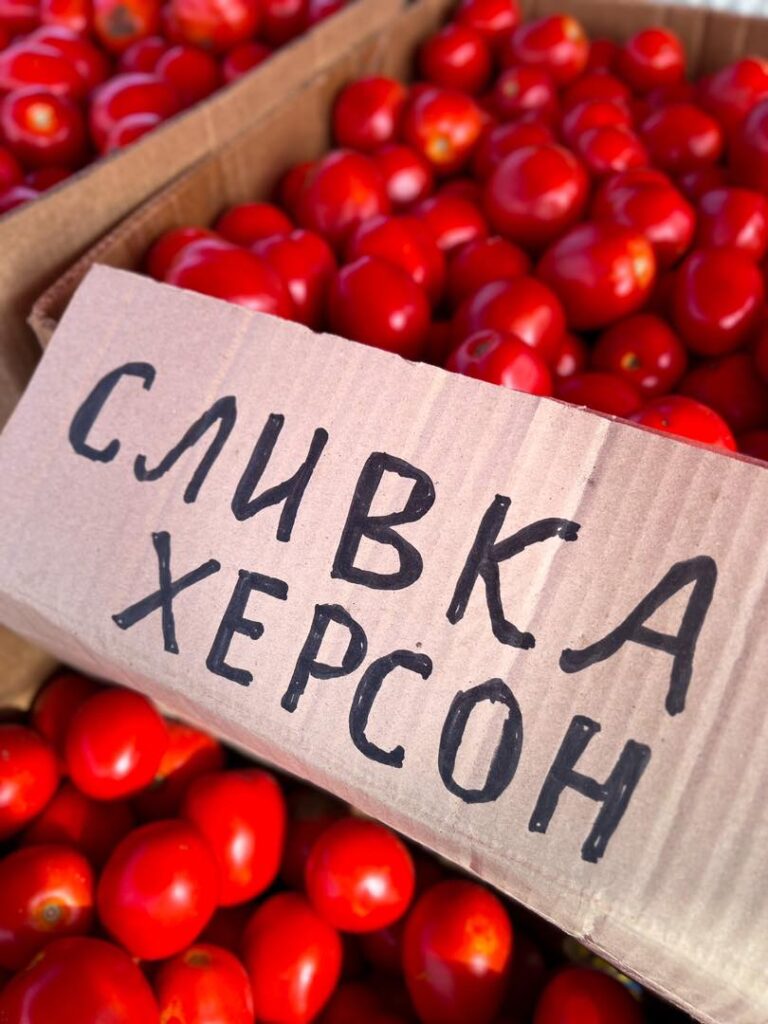 На львівському “Шуварі” з’явились помідори сливки з Херсонщини