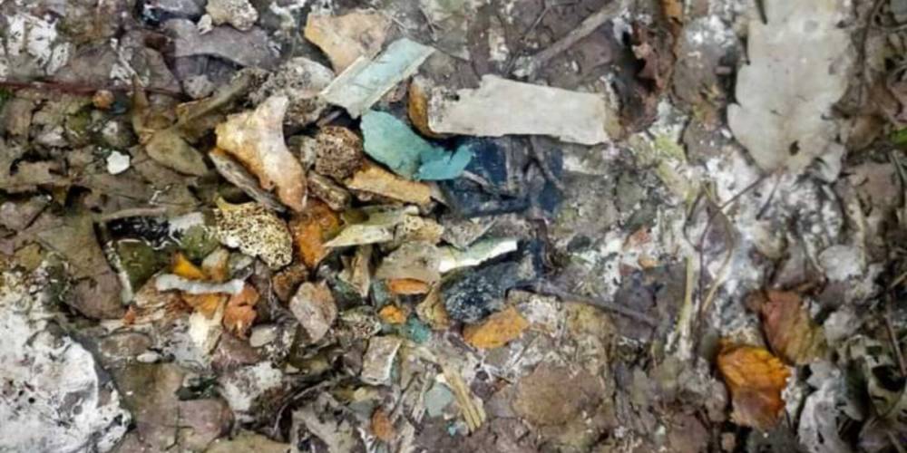 Археологи знайшли місце кремації кельтського воїна на Тернопільщині