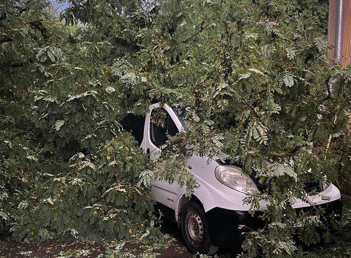 На Львівщині дерево впало на машину, де було двоє дітей