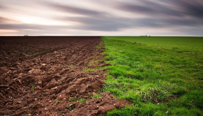 У власність громади на Львівщині повернули 60 га землі