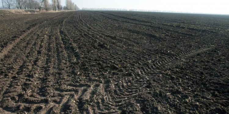 У громадянина РФ конфіскували чотири земельні ділянки на Львівщині