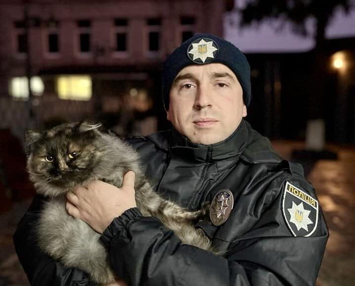 У Тернополі кіт врятував господаря від підриву гранати