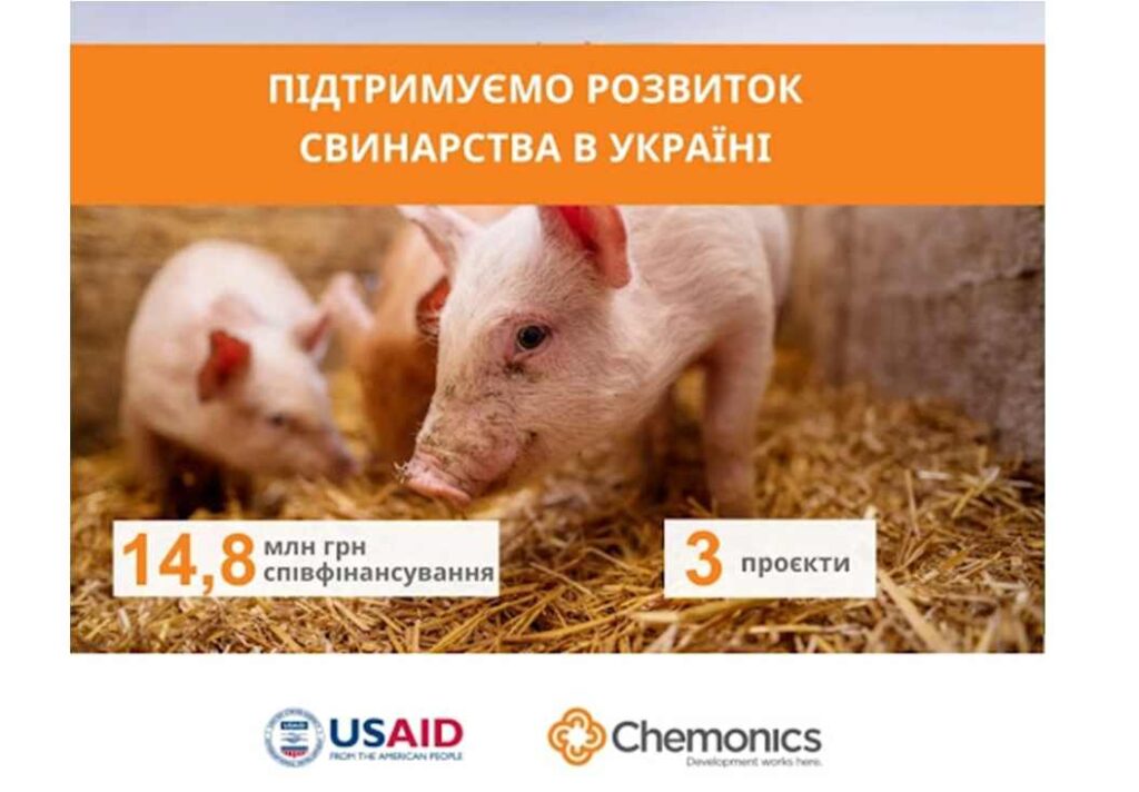 На Львівщині аграрії можуть отримати суб-гранти до 14,8 млн грн на розвиток свинарства