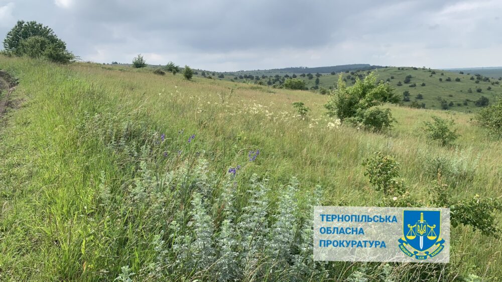 Землі заказника на Тернопільщині незаконно здали в оренду