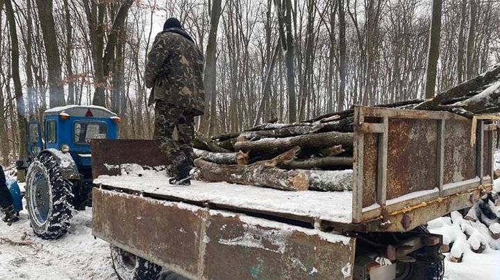 Чоловік на Тернопільщині намагався вивезти деревину зі заповідника