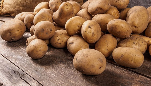 У Тернополі оголосили тендер на закупівлю картоплі для шкіл та садочків по 25 грн за кілограм