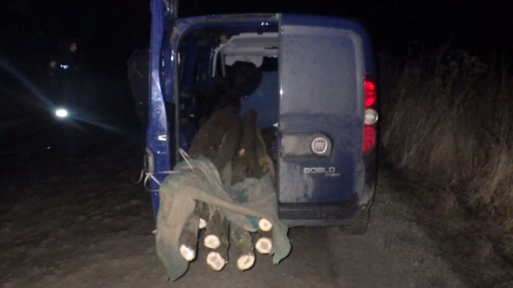 На Тернопільщині затримали чоловіка, який зрубав дерева у “Дністровському каньйоні”