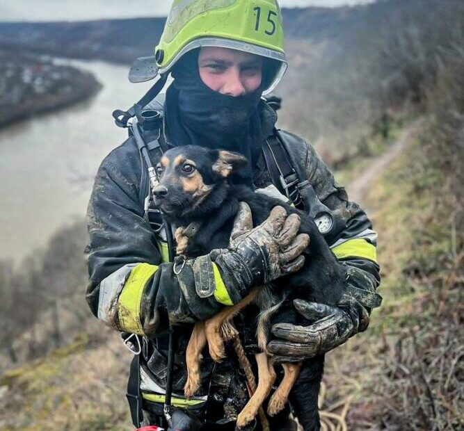 На Тернопільщині врятували собаку, який впав зі схилу в Дністровському каньйоні