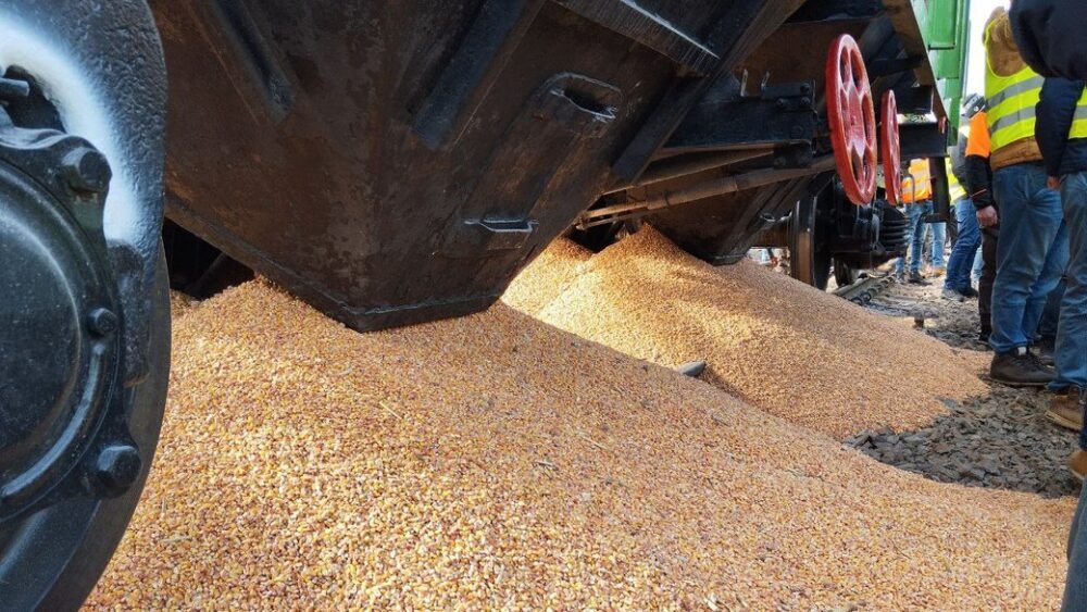 Польські фермери висипали зерно з вантажного вагону