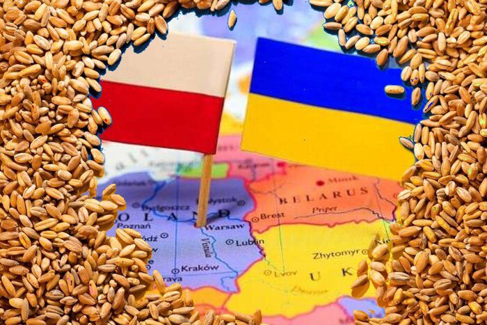 Чому Польща намагається зменшити експортні потоки української агропродукції