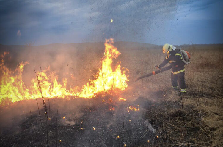 За добу на Львівщині зафіксували понад 30 пожеж сухостою