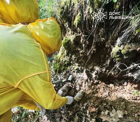 Львів’янин виявив 20 кілограмів ртуті у лісосмузі