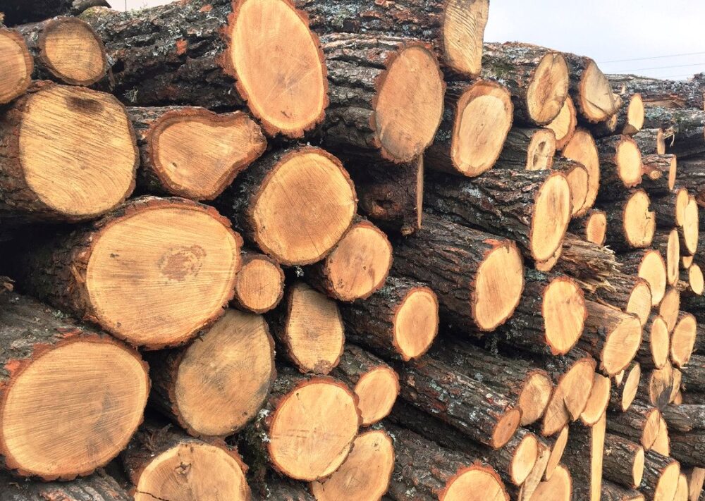 Мешканець Тернопільщини продав неіснуючі дрова вісьмом покупцям