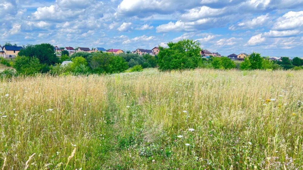 Майже 100 га землі на Львівщині повернули у власність громади