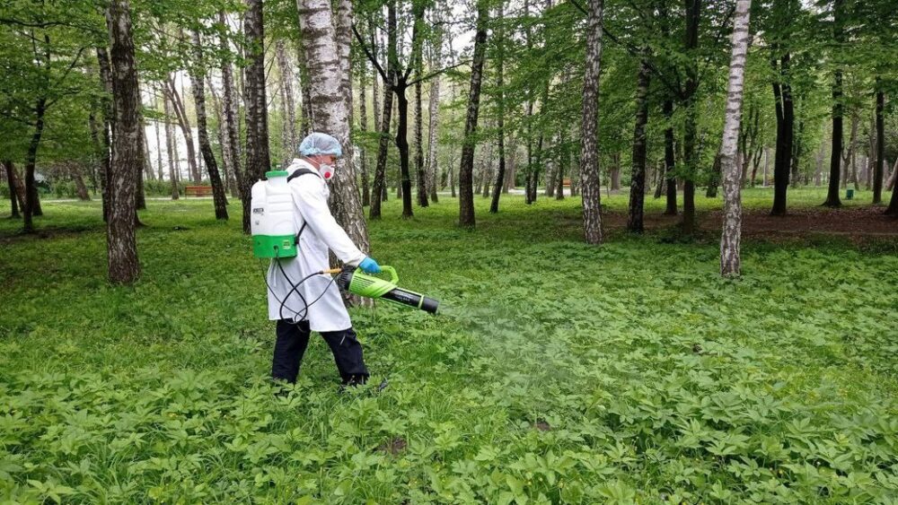 Мешканців Тернополя просять не відвідувати парки через обробку від кліщів
