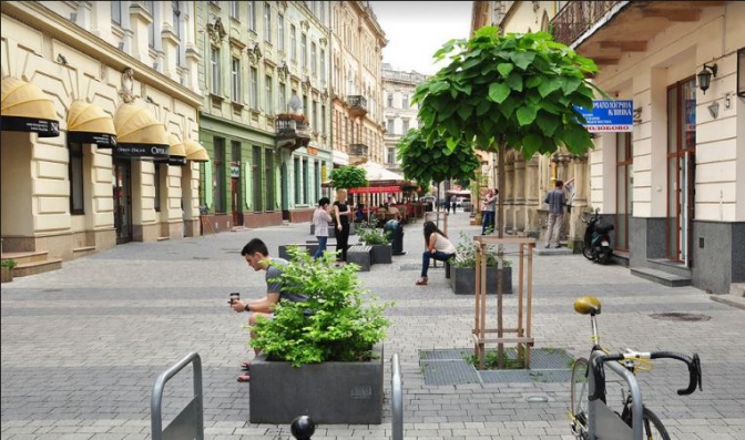 На саджанці та озеленення міста Львівський виконком погодив виділення 8 млн грн