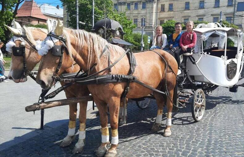 У Львові заборонили використовувати коней і поні в центральній частині міста