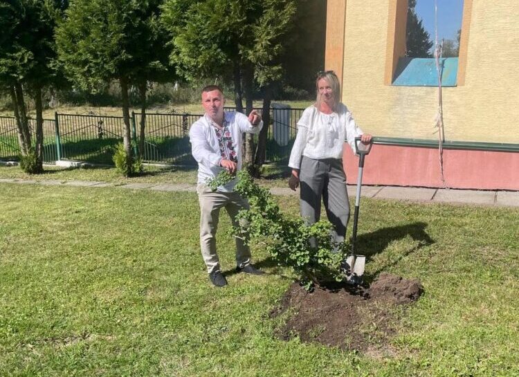 У селі поблизу Львова висадили іменні сакури