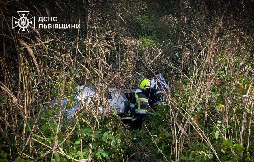 У ДТП на Львівщині загинув водій легковика