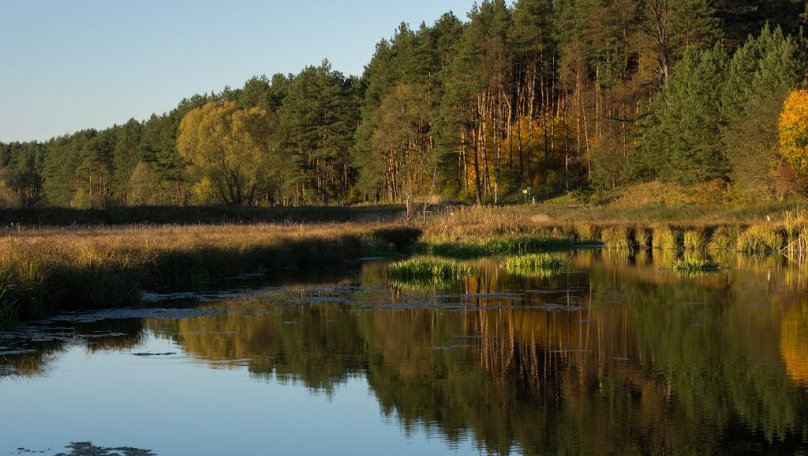 Громаді на Львівщині повернули землі вартістю 3,6 млрд грн