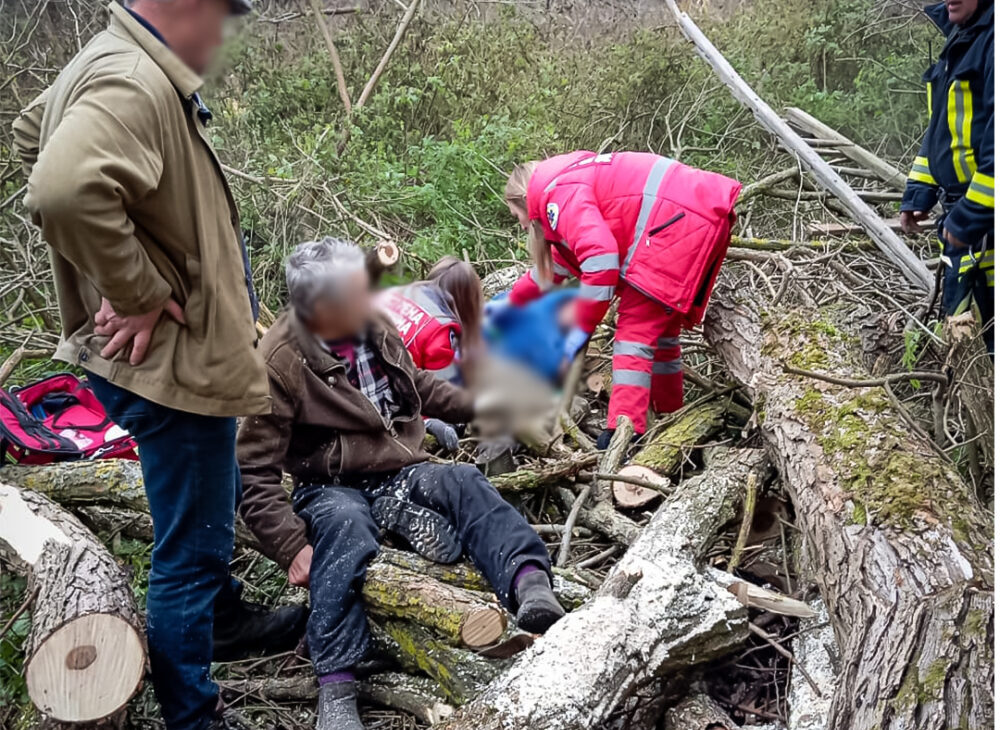 На батька з сином на Львівщині впало дерево