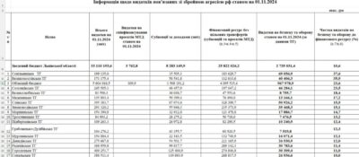 Козицький розповів, скільки видатків на оборону заклали у своїх бюджетах громади Львівщини