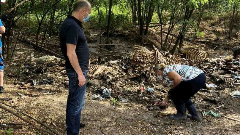 На Львівщині судили чоловіка, який скинув нутрощі тварин у лісі