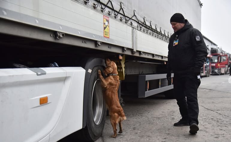 Собаки львівських прикордонників виявили наркотики у подорожніх